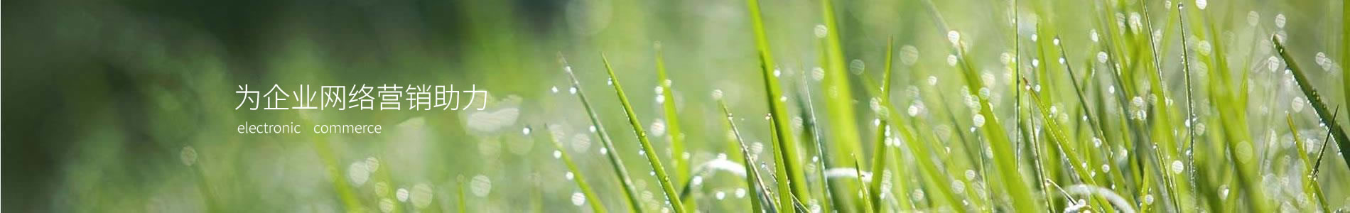 ӱǿҵ޹˾